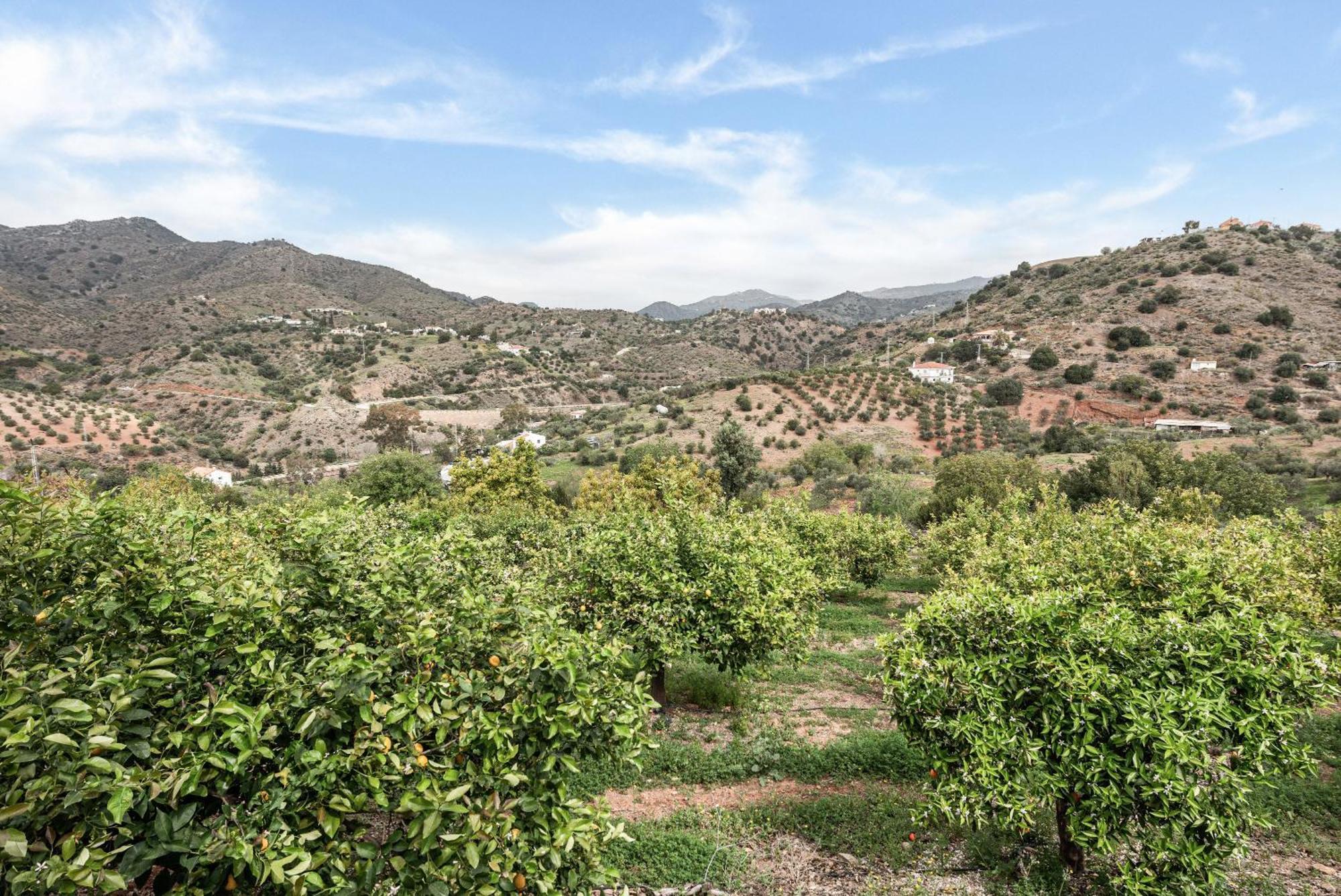 Finca Llano De Fe Malaga Luaran gambar